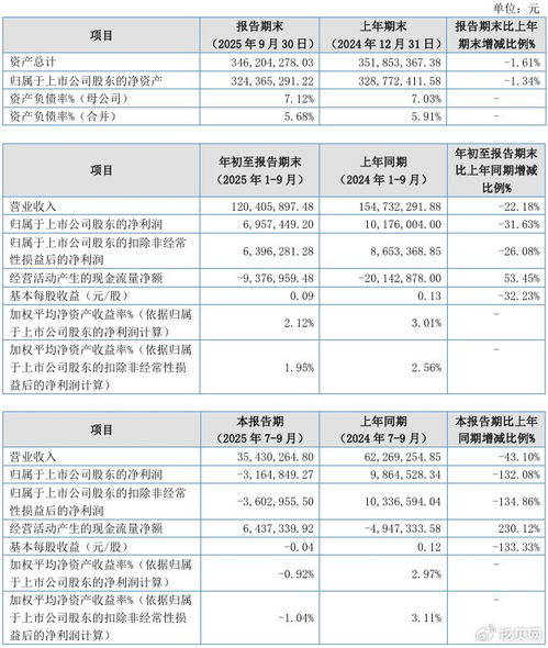 聯迪信息2025年第三季度凈虧損316.48萬元，內銷收入下滑拖累業績