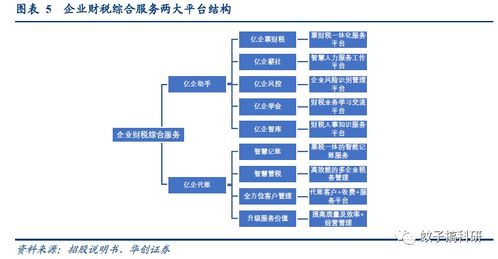 新股丨稅友股份 專注財稅信息化，信息系統集成服務助穩健成長